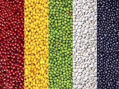 顆粒類包裝解決方案